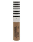 COVERGIRL Trublend Undercover Concealer, Warm Tawny, 0.33 Fl Oz, Pack of 1