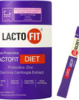 LACTO-FIT Probiotics Diet 120g x 60ea