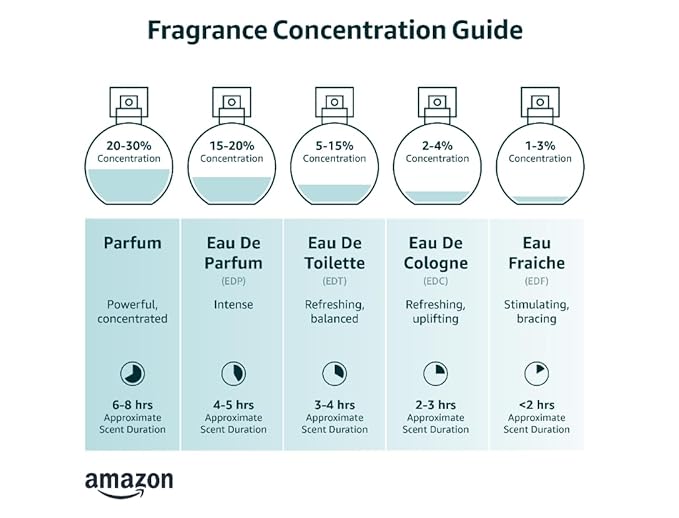 Hybrid & Company Acqua for Ceo Men’s Classic Scent Spray Eau De Perfume Toilette 100 ML
