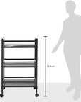 Amazon Basics 3-Tier Metal Rolling Cart, Black