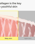 SUNGBOON EDITOR Deep Collagen Anti-wrinkle Cream In Serum | Collagen & Niacinamide Face Serum for Women | Hydrating for Sensitive Skin | Glass Skin Korean Skincare