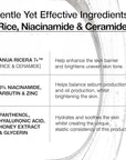 ANUA RICE CERAMIDE 7 HYDRATING BARRIER SERUM, Brightening, Hydrating Serum for Face, Rice, Hyaluronic Acid, Niacinamide, Fragrance-free, Non comodogenic, Glass Skin, Korean Skin Care, 50ml/1.69fl.oz.