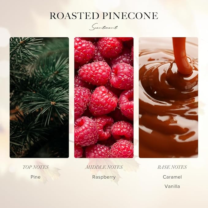 Scentiment Diffuser Oil - Roasted Pine Cone Fall Collection | Aromatherapy Home Fragrance | Luxurious Scent with Notes of Pine, Raspberry, Caramel (20ml)