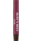 Burt's Bees Shimmer Lip Tint Set, Tinted Lip Balm Stick, Moisturizing for All Day Hydration with Natural Origin Glowy Pigmented Finish & Buildable Color, Plum (4-Pack)