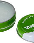 Vaseline Lip Balm 20g/0.705oz (6X20g/0.705oz, Aloe