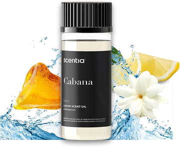 Scentia Hotel Diffuser Oil Inspired by 5-Star Hotel Scent - 50 mL 1.69 fl oz - Essential Oil Blend Botanical Jasmine, Bergamot & Fresh Marine Notes Aromatherapy Diffusers - Cabana, Thanksgiving Gift