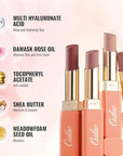 Oulac Color Rich Satin Lipstick - Medium Brown Full Coverage Lip Color, Creamy Silky-Smooth, Moisturizing, Satin Matte Finish, Infused With Shea Butter, Vegan & Clean Beauty, 4g, SG15 Barbara