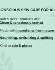 Burt's Bees Overnight Lip Sleeping Mask,