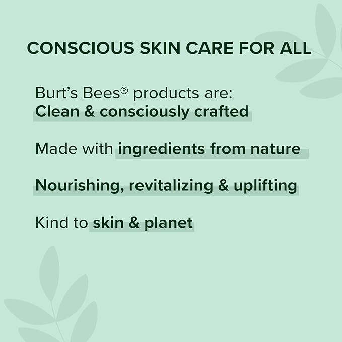 Burt's Bees Overnight Lip Sleeping Mask,