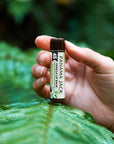 Panama Jack Sunscreen Lip Balm - SPF 45, Broad Spectrum UVA-UVB Sunscreen Protection, Prevents & Soothes Dry, Chapped Lips