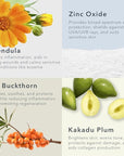Baie Botanique Soleil Organic Facial