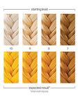 Danger Jones Semi-Permanent Hair Color (Starrider - Yellow)