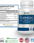 Well of Life: Turmeric & Ginger with BioPerine®: Joint Support - 655mg | 60 Veg Capsules. Helps Immune Function, Digestive Health, and Overall Wellness. Made in USA.