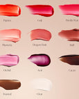 Saltair Hydrating Lip Oil Balm, Clear and Tinted Lip Gloss, Essentials Shades 5-Pack. Moisturizing Vegan Conditioning for Dry Cracked Lips with Glossy High-Shine Finish. Coconut Vanilla Flavor