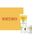 Burt’s Bees Sensitive Skin Bundle, Gentle Cream Facial Cleanser with Aloe and Moisturizing Face Cream with Aloe and Rice Milk, Natural Origin Skincare, 6 oz./3 oz.