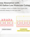 SUNGBOON EDITOR Deep Collagen Anti-wrinkle Cream In Serum | Collagen & Niacinamide Face Serum for Women | Hydrating for Sensitive Skin | Glass Skin Korean Skincare