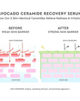 Glow Recipe Avocado Ceramide Serum, Travel Size - Soothing, Hydrating Face Serum for Women & Men, Redness Relief & Skin Barrier Repair - Lightweight Korean Skincare for Dry, Sensitive Skin (15 ml)