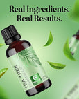 Pure Tea Tree Oil for Hair Skin and Nails - 100% Pure Undiluted Tea Tree Essential Oil with Dropper for Topical Uses Aromatherapy Diffusing and Home and Beauty DIYs - Vegan and Cruelty Free (1 Fl Oz)