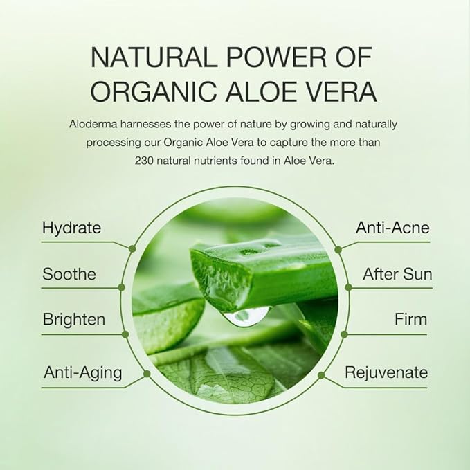 Aloderma Organic Aloe Vera Gel for Skin + Tea Tree Oil, Made within 12 Hours of Harvest, Soothing Pure Aloe Vera Gel for Face, Works Great for Oily Skin, Scalp, Aftershave, Natural Aloe - 10.6 Oz