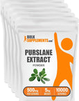 BulkSupplements.com Purslane Extract Powder - Portulaca Oleracea Extract, Purslane Supplements - Supplementation, Pack of 1 - Gluten Free, 500mg per Serving, 5kg (11 lbs)