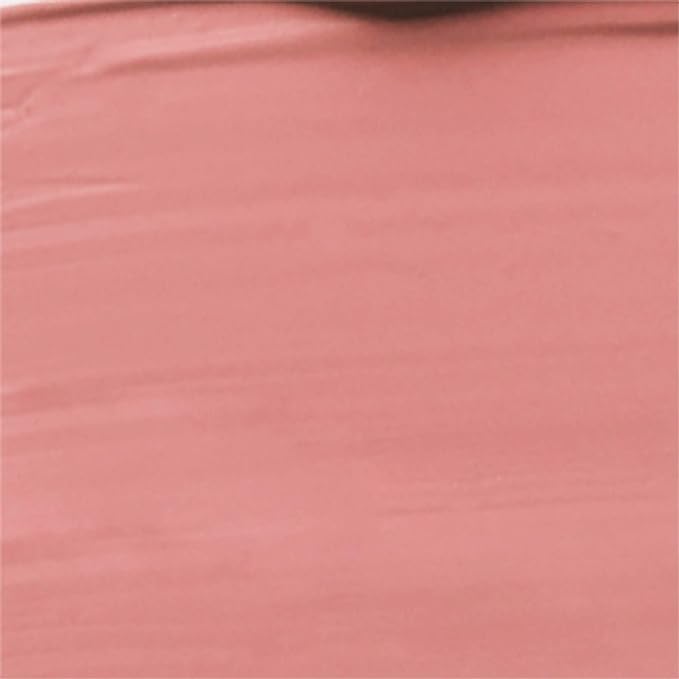 wet n wild Megalast Catsuit Matte Liquid Lipstick, Pink Nudist Peach | Lip Color Makeup | Moisturizing | Creamy | Smudge Proof
