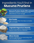 Well of Life: Mucuna Pruriens 60 Veggie Capsules, Supplement for Relaxation, Mood & Well-Being, 15% Extract Natural, USA Made, No Color Added No Artificial Ingredients & Non-GMO