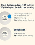 Blueprint Bryan Johnson Hydrolyzed Collagen Peptides Powder – Type I, II & III Collagen for Women & Men – Unflavored Protein Supplement for Hair, Skin, Nails, Joints & Cartilage – 20g – 30 Servings
