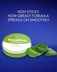Vaseline Lip Therapy Aloe Vera 20g