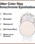 Monochrome Pressed Eyeshadow, Waterproof Neutral Powde Mini Shimmer Silver White Eyeshadow, sombras para ojos, Talc, Paraben & Cruelty Free (H02#Shimmer Silver White)