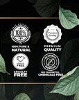 Tobacco Fragrance Oil 100ml | Premium Quality Fragrance Oil for Aromatherapy Diffuser Home Fragrance Soap & Candle Making| 3.38 fl. Oz