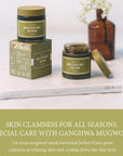 [I'M FROM] Mugwort Mask 3.88 fl oz | Natural Herb, Tea tree, Wash-off, Cooling and fast Soothing Breakouts, for Sensitive skin
