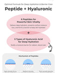 [K Beauty Snp] 4-in-1 Peptaronic Skincare Set | Peptide and Hyaluronic Acid Complete Skin Care Set | Includes Facial Toner, Cream, Face Serum, and Ampoule Sheet Face Masks | Skin Care Gift Set of 1