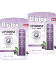 Blistex Lip Boost Wellness, Intensive Hydration from Coconut Oil & Beeswax, Elderberry Moisturizer (Pack of 2)