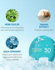 SCINIC Enjoy All Round Airy Sun Cushion EX SPF50+PA++++0.88oz (25g) | Cooling UV Protection & Natural Tone-up From Face To Body For All Family Members | Korean Skincare