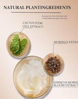 4 in 1 foundation Liquid- Hydrating Medium full coverage concealer with，SPF 50+