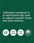 Standard Process Collinsonia Root - Whole Food Vascular Supplement, Digestive Health, Bladder Support, Digestion, and Kidney Support with Collinsonia Root -150 Capsules