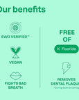 ATTITUDE Fluoride-Free Toothpaste, Plant- and Mineral-Based Ingredients, Vegan, Cruelty-Free and Sugar-Free, Mango 4.2 Oz