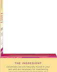 Burt's Bees Overnight Lip Sleeping Mask,