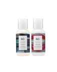 R+Co | Travel Sized | Television Perfect Shampoo and Conditioner Set for Preserving Color Treated Hair | Anti Frizz + Repairs + Nourishes | Vegan + Sulfate-Free | Set of 2