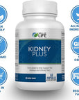 Well of Life: Kidney Plus 600mg with Cranberry Extract, Astragalus Root, Java Tea-Leaf & antioxidants for Overall Well-Being, Helps Healthy Kidney Function & Urinary Tract Wellness, 60 Capsules