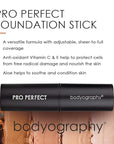 Bodyography Pro Perfect Foundation Stick - Demi-Matte Finish E (Espresso)