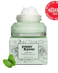 Poppy & Pout Natural Lip Scrub, Moisturizing Sugar Scrub for Dry Lips, Lip Scrubber Exfoliator with Essential Oils Smooths and Hydrates Lips, In Recyclable Glass Jars, Cruelty Free - Sweet Mint