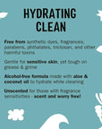 Molly's Suds Foaming Hand Soap - Made with Aloe and Coconut Oil | Moisturizing Hand Wash | Clean Ingredients, Infused with Essential Oils | Unscented - 8.25 Oz (Pack of 3)
