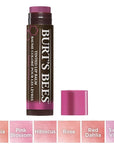 Burt's Bees 100% Natural Tinted Lip Botanical