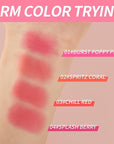 Cooling Water Jelly Tint Blush Makeup Blush Stick 0.18 Oz