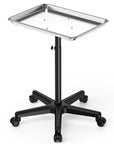 TASALON Rolling Salon Cart, Adjustable Height Premium Aluminum Tattoo Rolling Tray, Beauty Instrument Salon Table with Wheels, Cart for Hair Stylist Medical Dental Tray