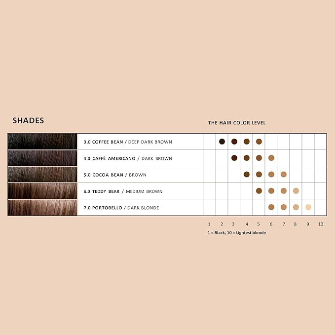 Four Reasons Takeaway Root Touch Up Hair Dye – Cocoa Bean 5.0 – Demi-Permanent Color - Gray Coverage Root Hair Dye for Women –Vegan & Fragrance Free