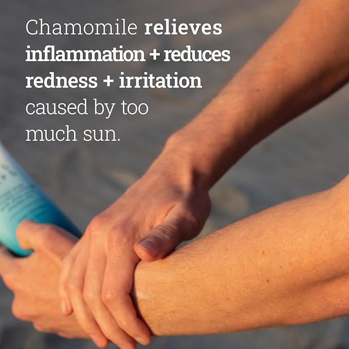 Oars + Alps After Sun Cooling Lotion, Includes Aloe Vera and Cucumber Extract for Sunburn Relief, Fresh Cut Aloe Scent, 8 Fl Oz