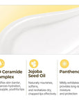 Torriden SOLID In Ceramide Lip Essence Fuligo