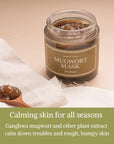 [I'M FROM] Mugwort Mask 3.88 fl oz | Natural Herb, Tea tree, Wash-off, Cooling and fast Soothing Breakouts, for Sensitive skin